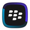 BlackBerry Link