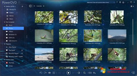 Screenshot PowerDVD for Windows 10