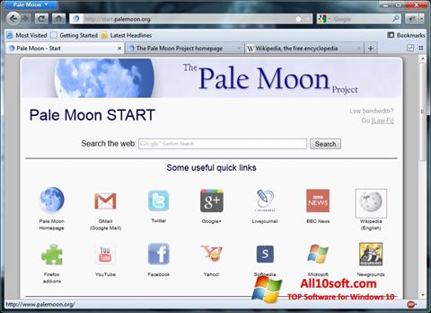 Screenshot Pale Moon for Windows 10