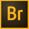 Adobe Bridge for Windows 10