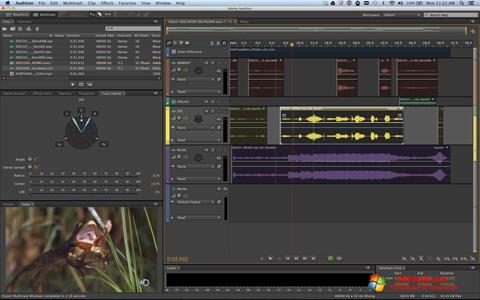 Screenshot Adobe Audition for Windows 10