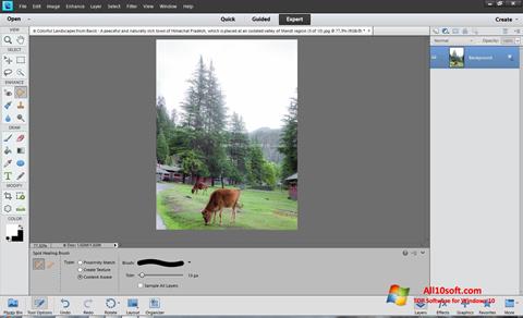 Screenshot Photoshop Elements for Windows 10