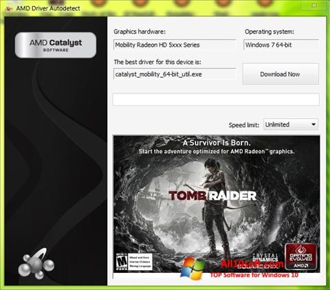 Screenshot AMD Driver Autodetect for Windows 10
