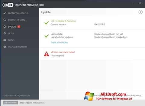 Screenshot ESET Endpoint Antivirus for Windows 10