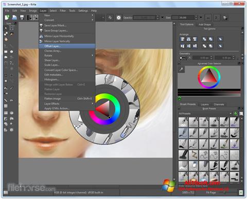 krita windows