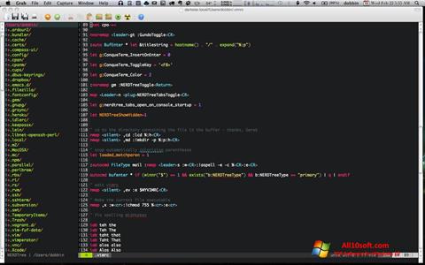 Screenshot Vim for Windows 10